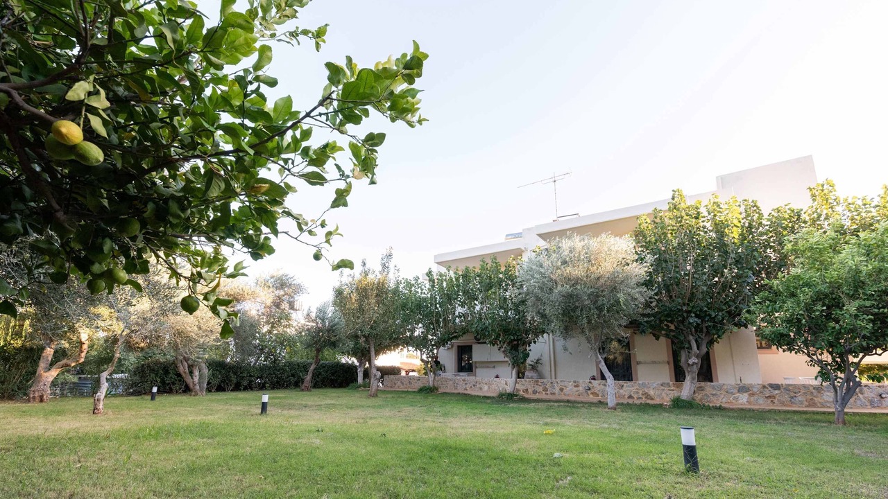 Photo of Others in Gialos