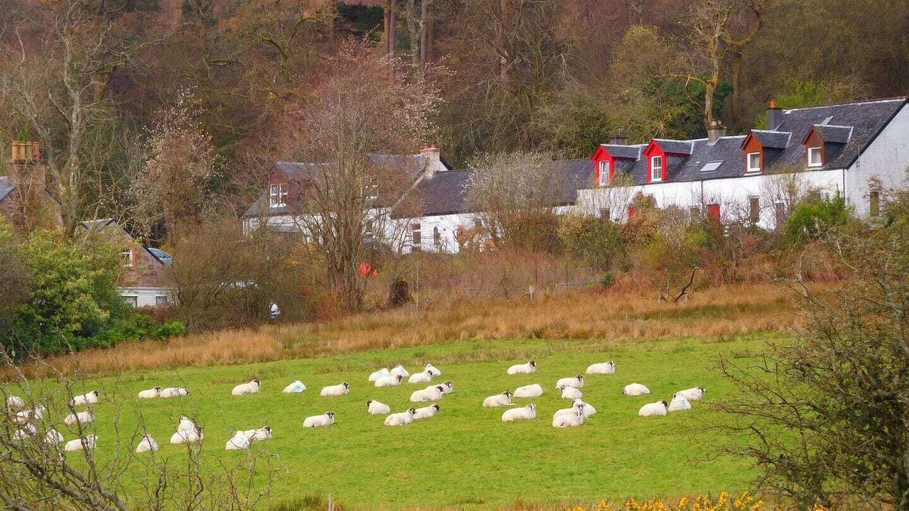 Photo of Outdoor in Brodick