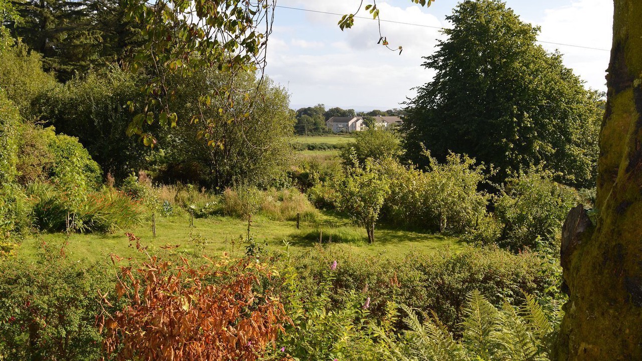 Photo of Outdoor in Brodick