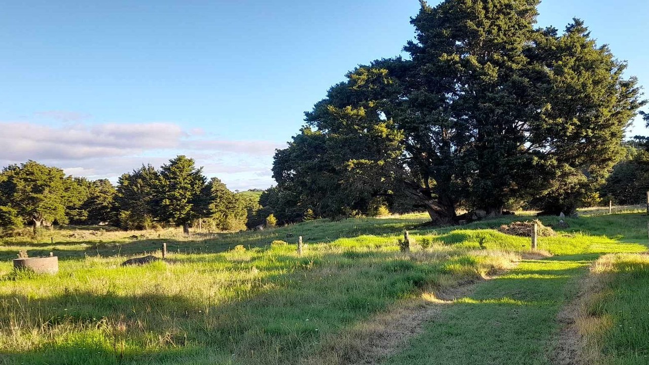 Photo of Others in Taheke