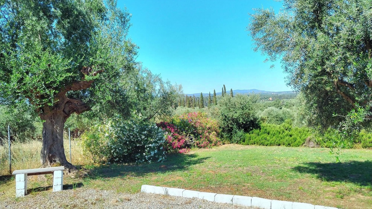 Photo of Outdoor in Raftis