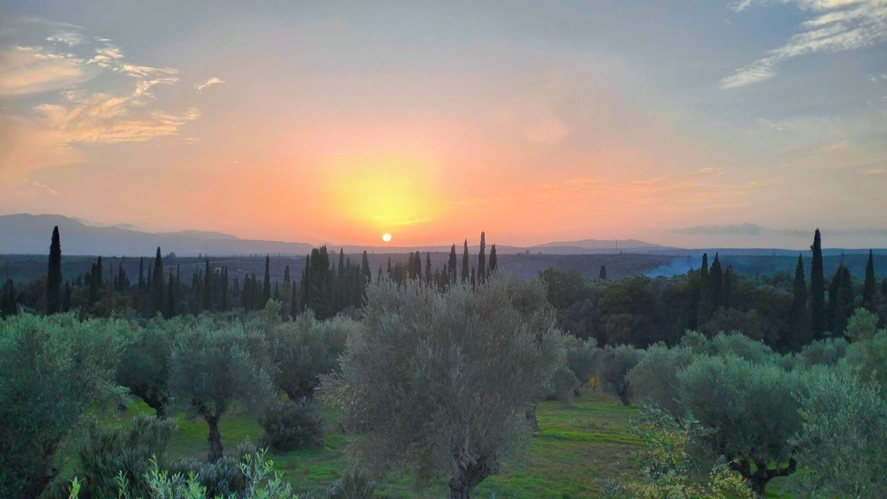 Photo of Outdoor in Raftis