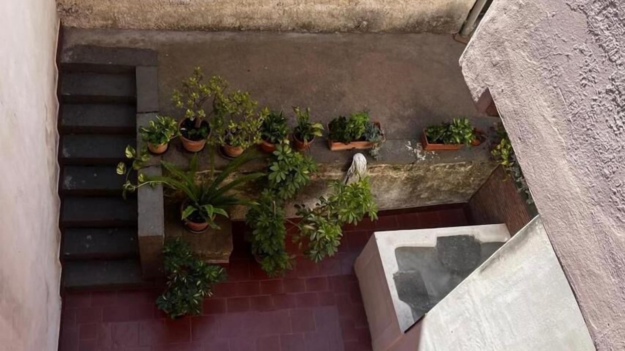 Photo of Outdoor in Coste