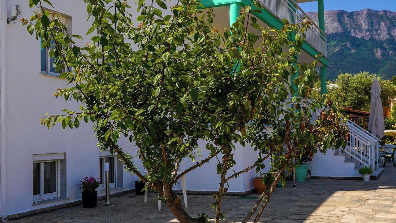 Photo of Outdoor in Chrisi Ammoudia