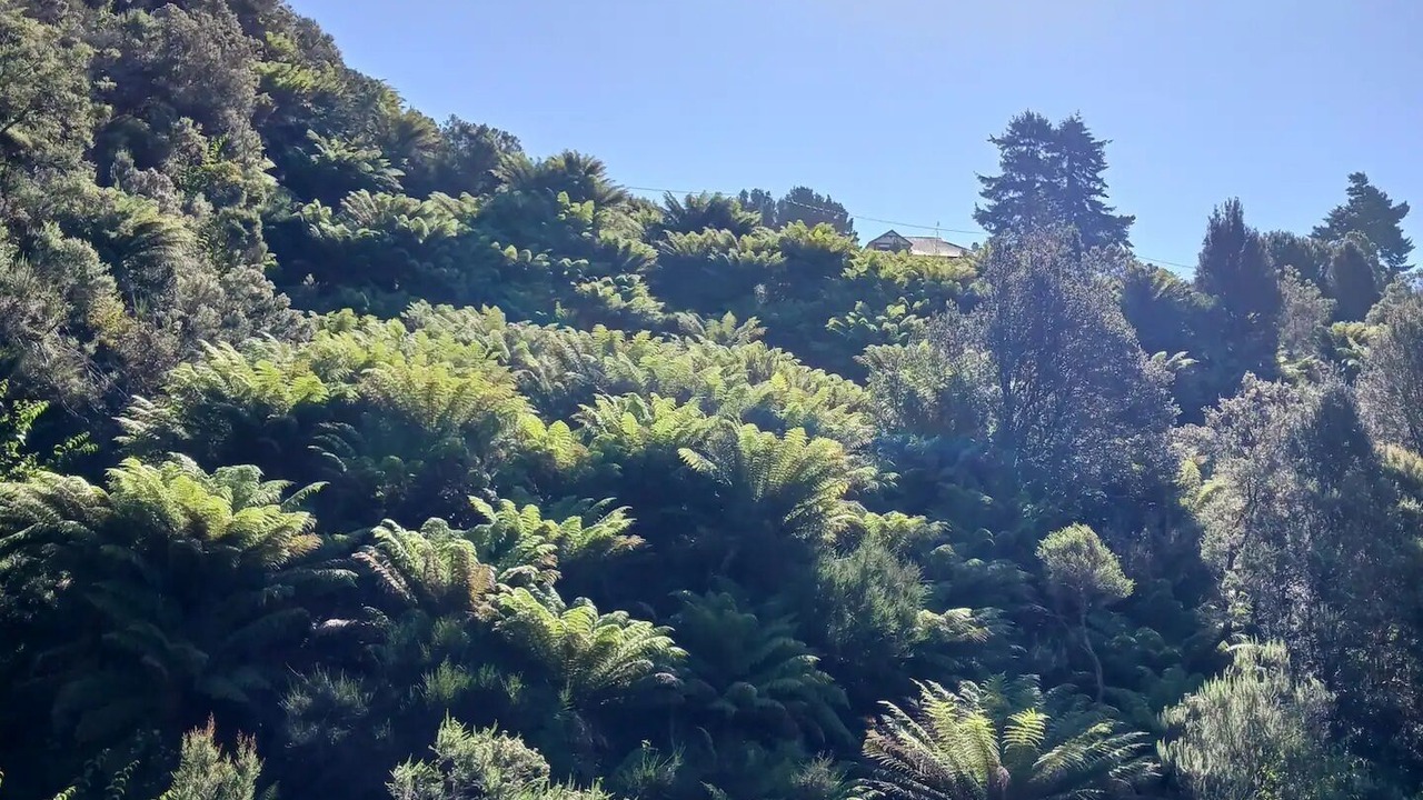 Photo of Outdoor in Waratah
