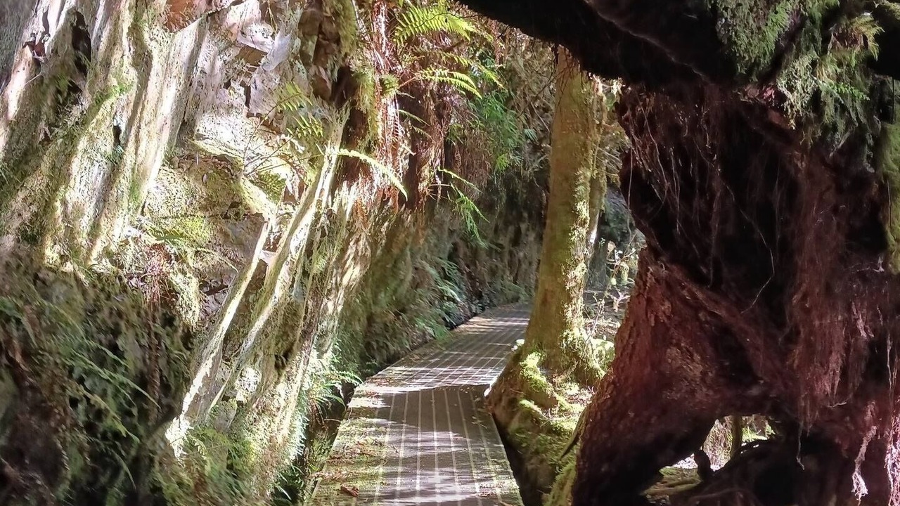 Photo of Outdoor in Waratah