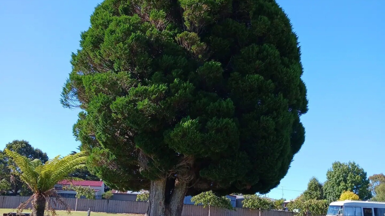 Photo of Outdoor in Waratah
