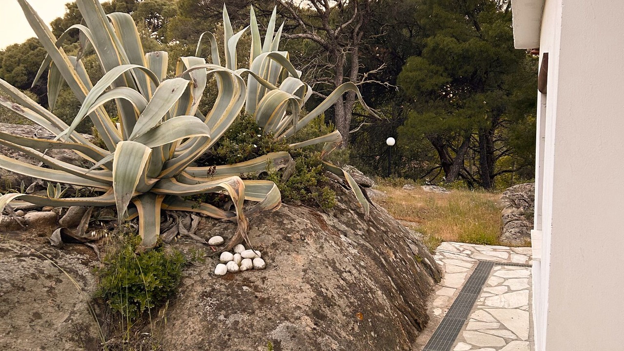 Photo of Outdoor in Vourvourou