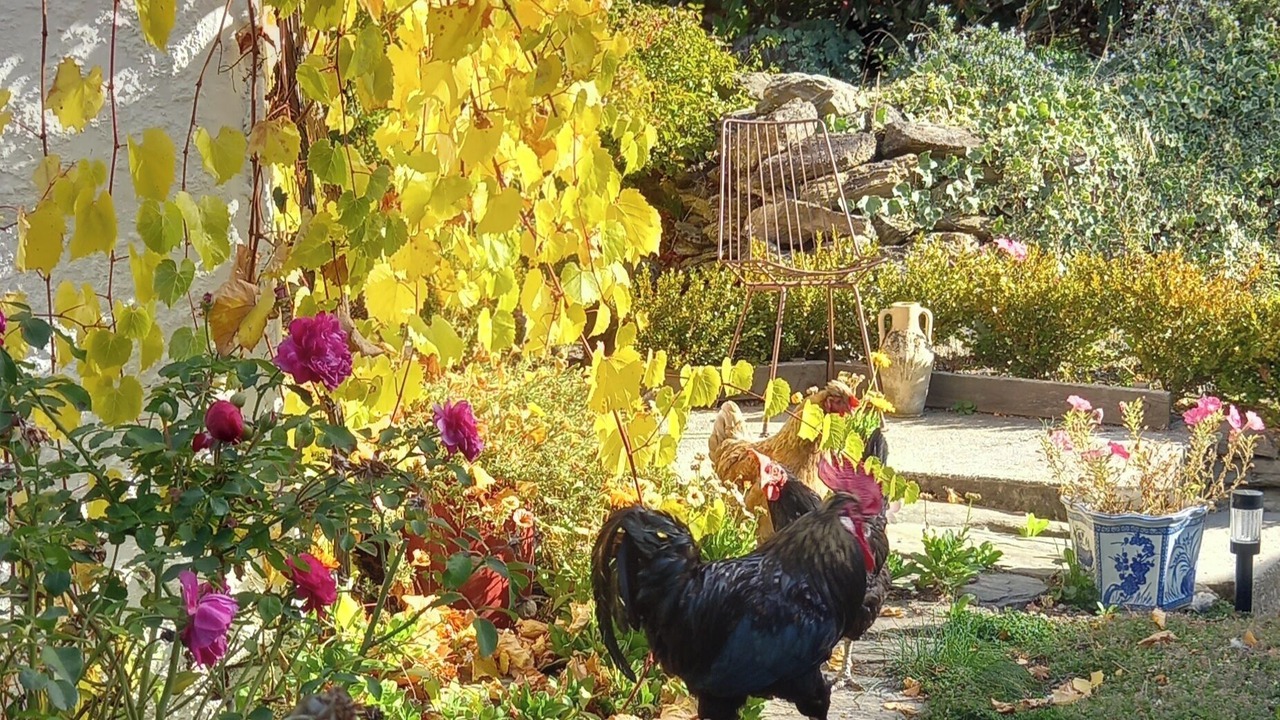 Photo of Outdoor in Bannockburn