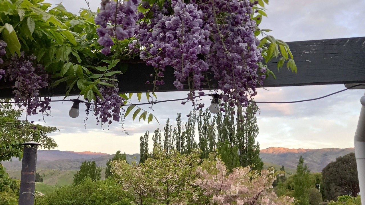 Photo of Outdoor in Bannockburn