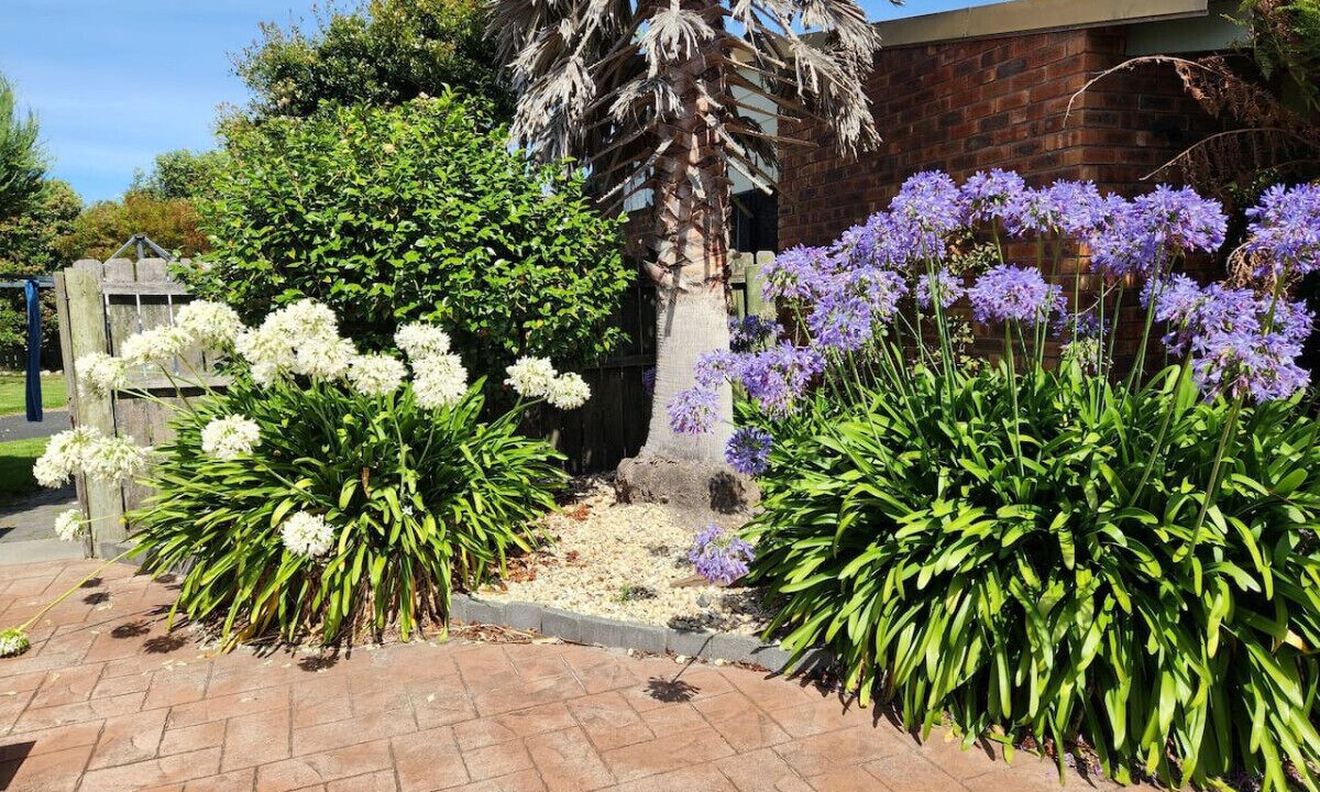 Photo of Outdoor in Scamander