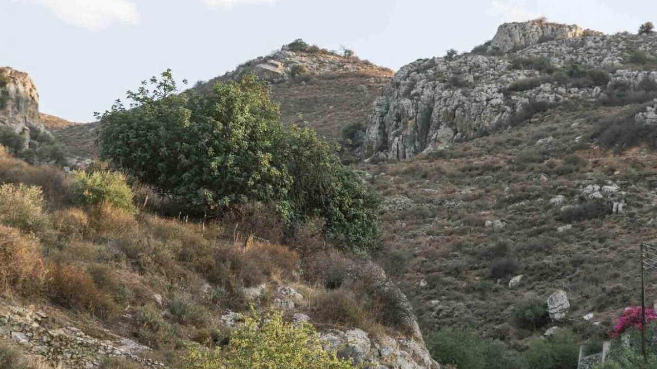 Photo of Others in Pombia