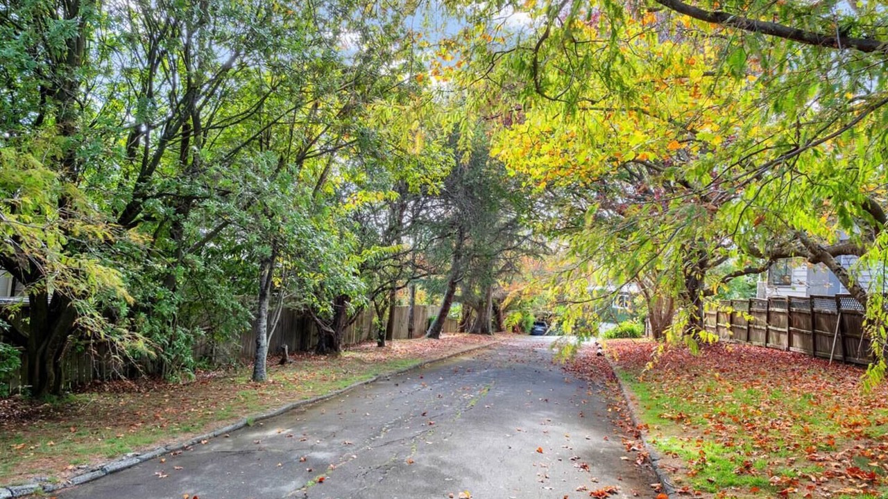 Photo of Outdoor in St. Heliers