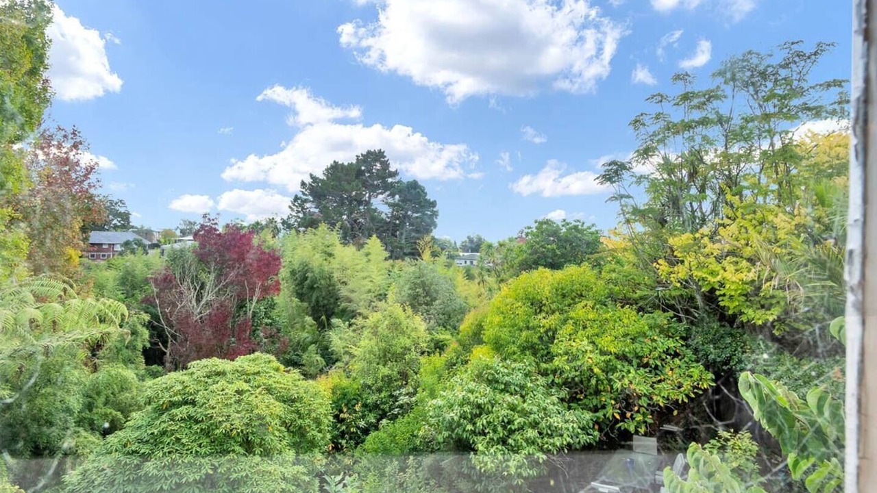 Photo of Outdoor in St. Heliers