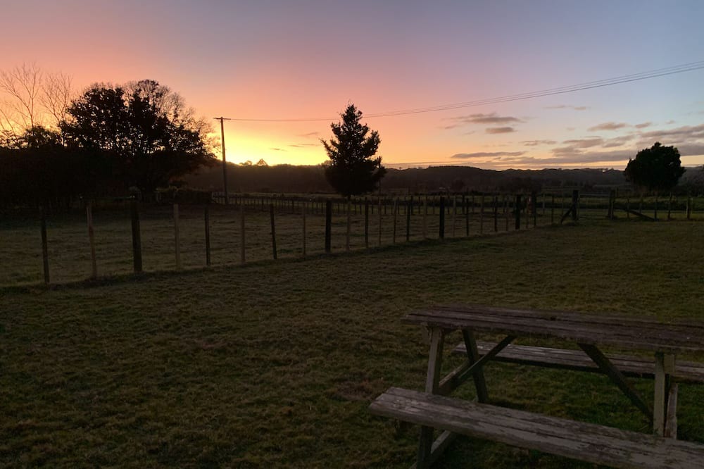 Photo of Outdoor in Kiwitea