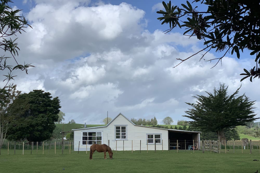 Photo of Outdoor in Kiwitea