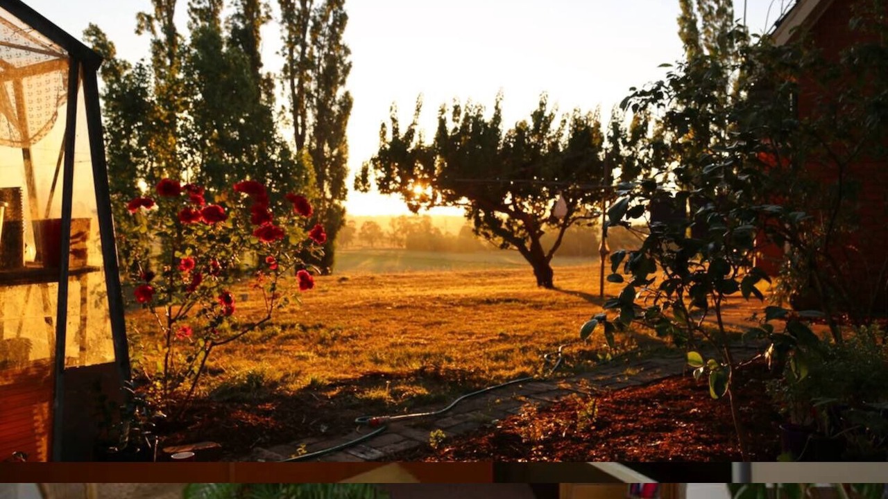 Photo of Outdoor in Evandale