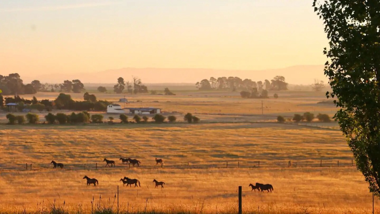 Photo of Outdoor in Evandale