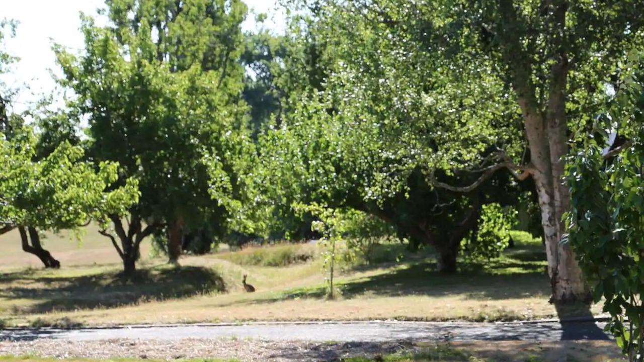 Photo of Others in Evandale