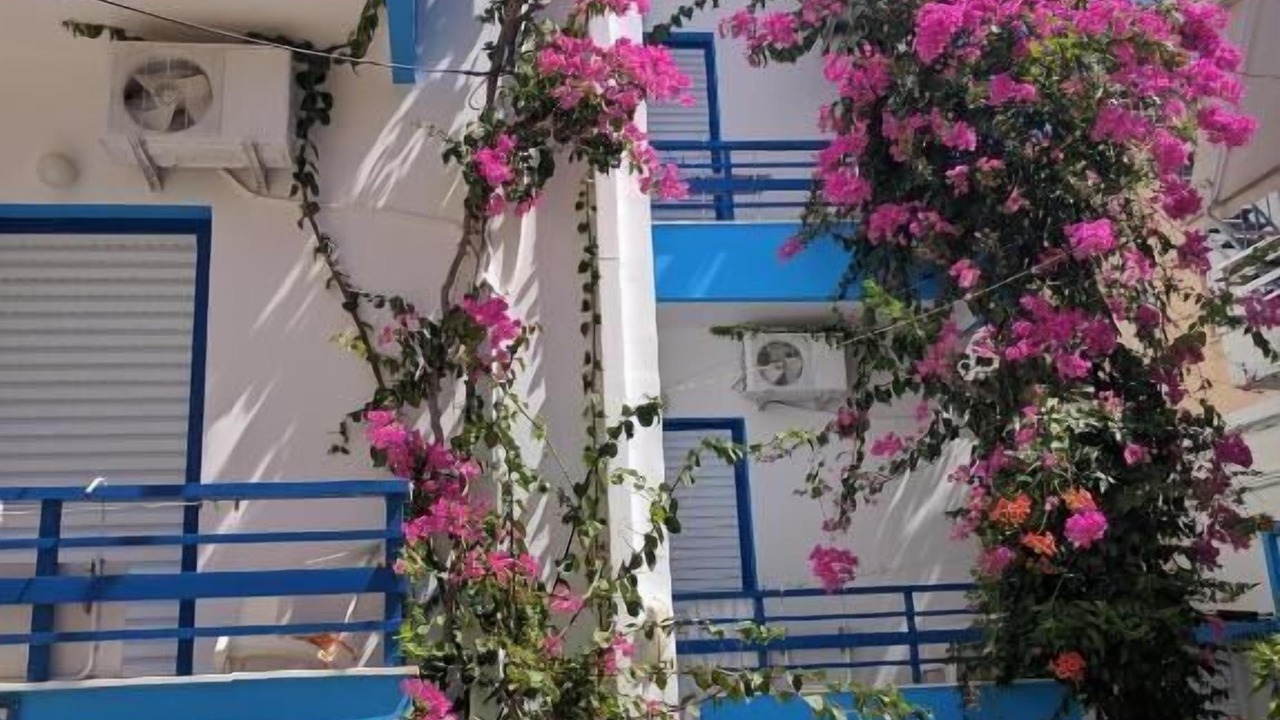 Photo of Outdoor in Palaiochora