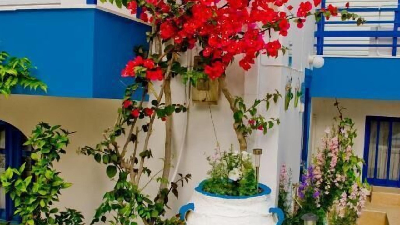 Photo of Patio Balcony in Palaiochora