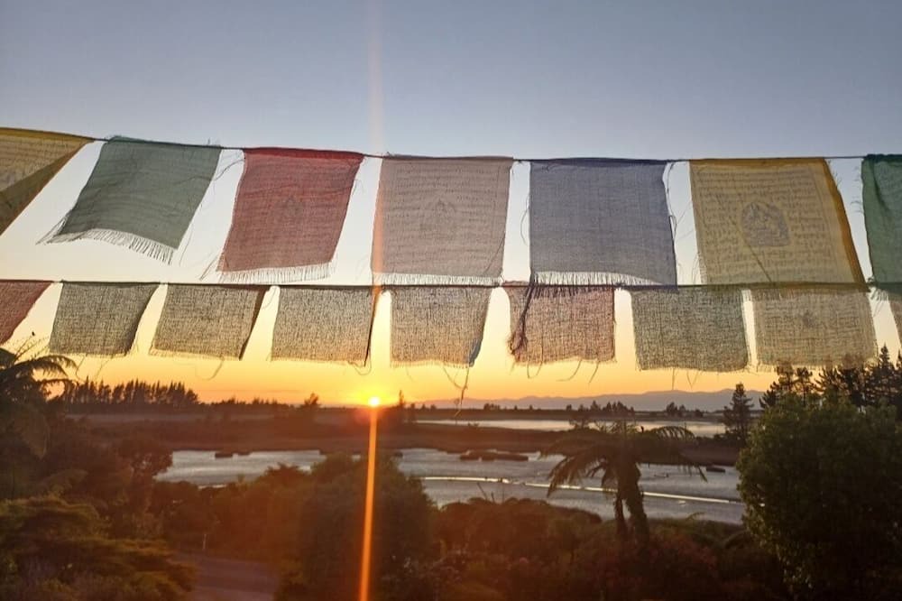 Photo of Outdoor in Pakawau