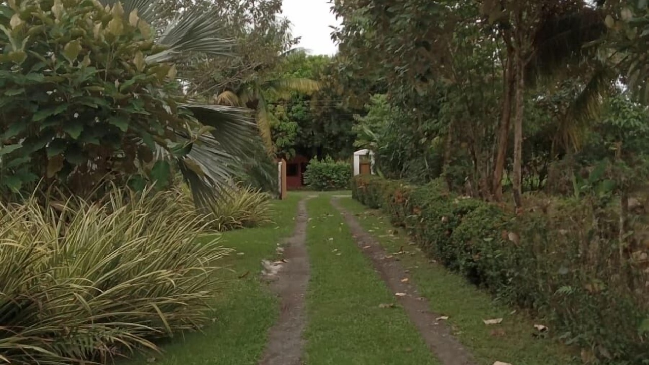 Photo of Outdoor in Palma