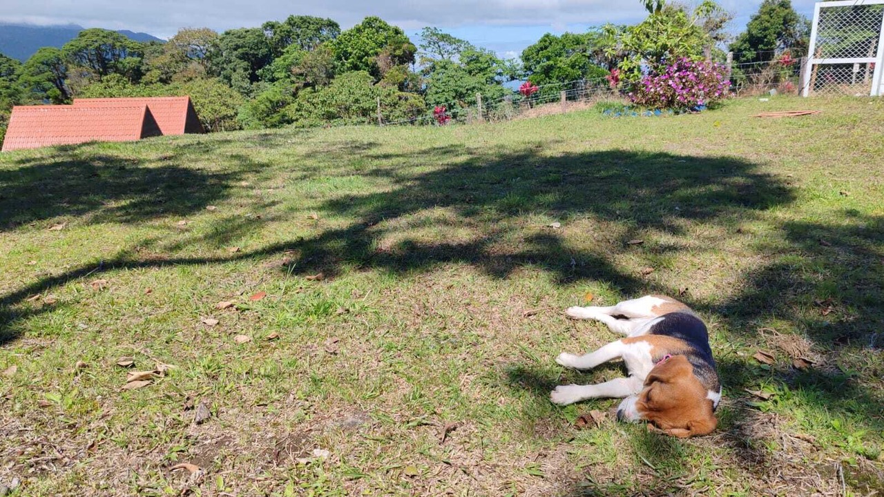 Photo of Outdoor in Roble