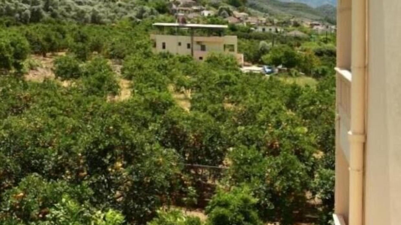Photo of Outdoor in Agia