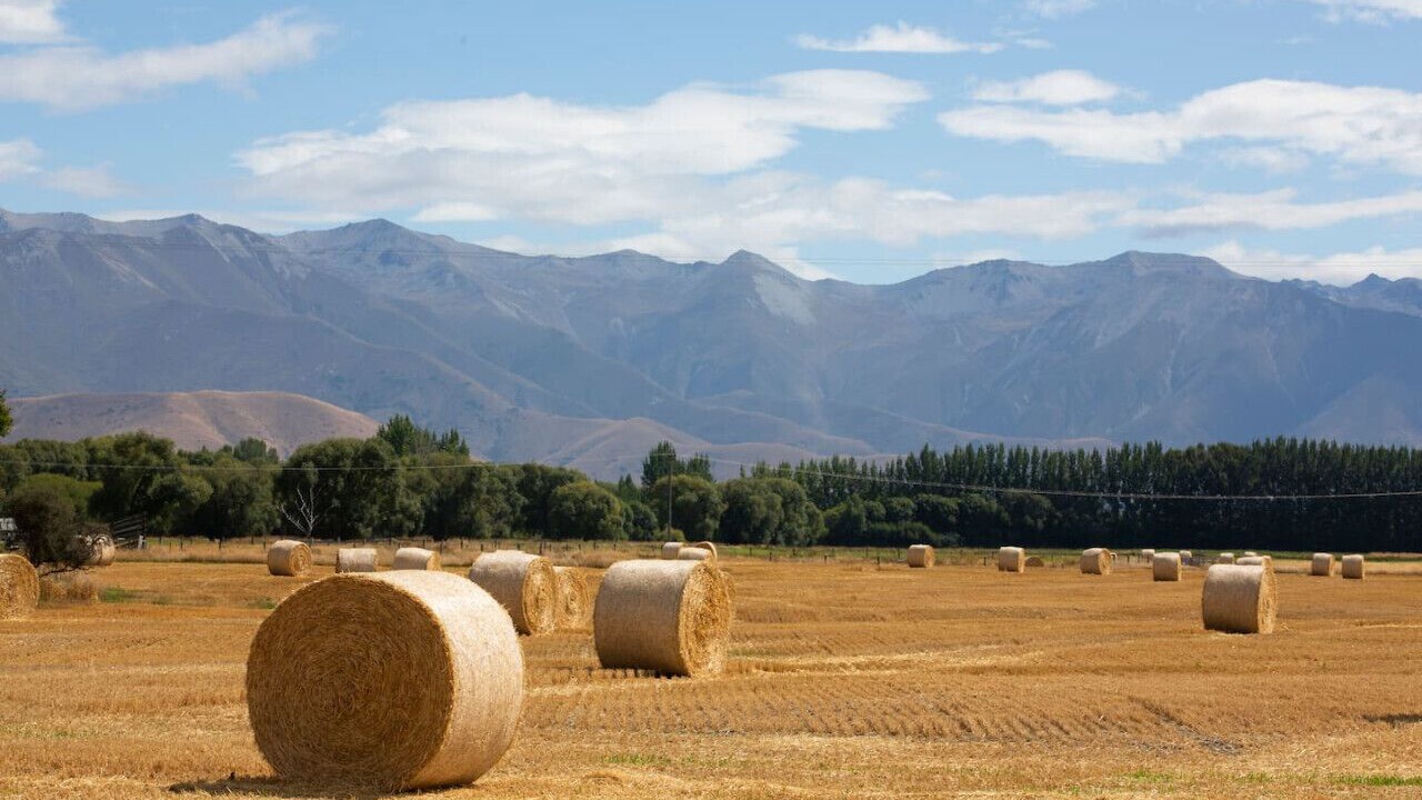Photo of Others in Twizel