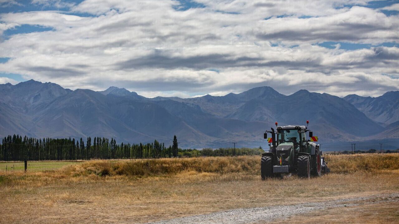 Photo of Others in Twizel
