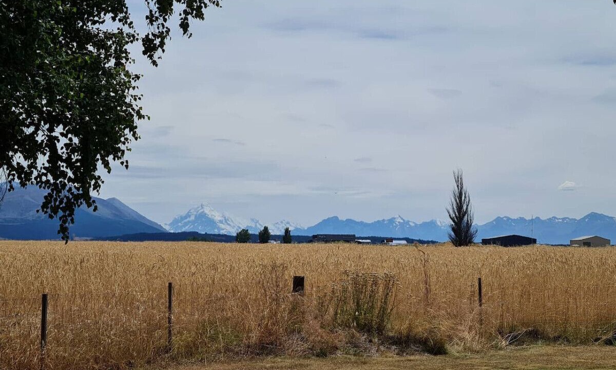 Photo of Others in Twizel