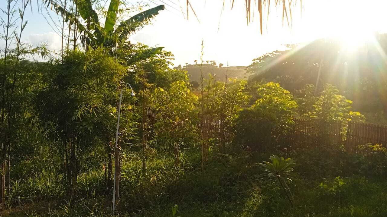 Photo of Outdoor in Jerowaru