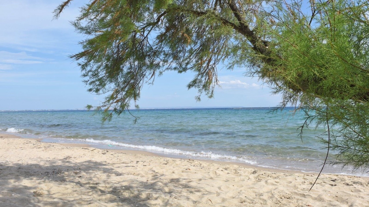 Photo of Others in Paralia Dionysiou