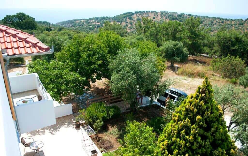 Photo of Outdoor in Astris