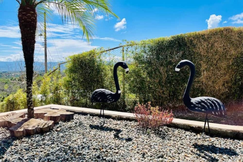 Photo of Outdoor in San Miguel