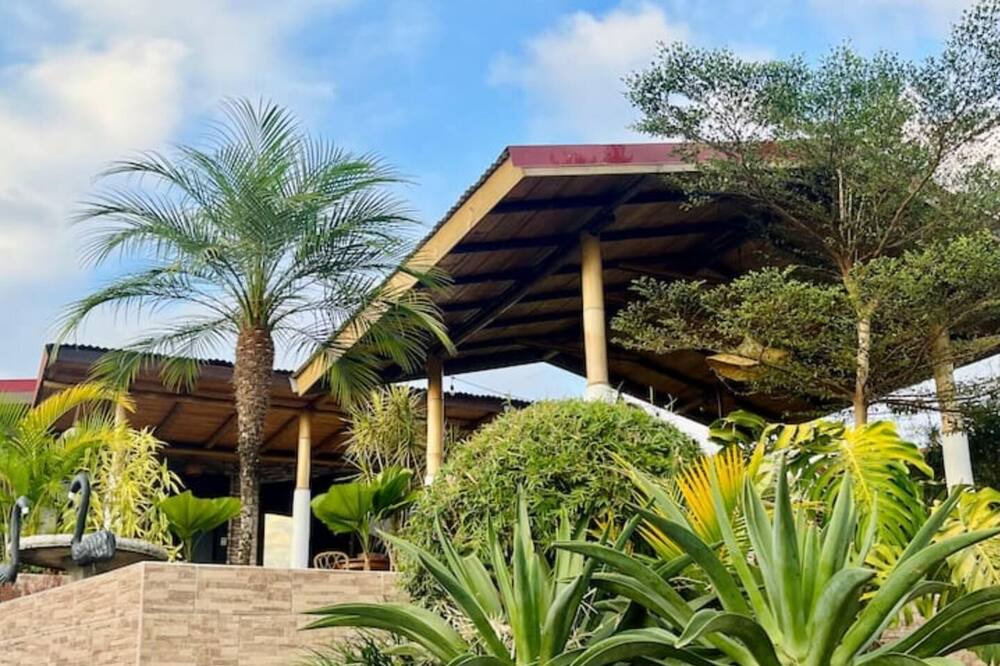 Photo of Outdoor in San Miguel