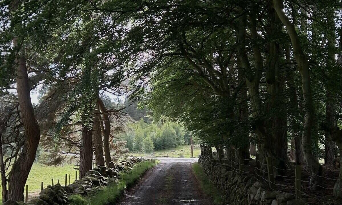 Photo of Outdoor in Ballater
