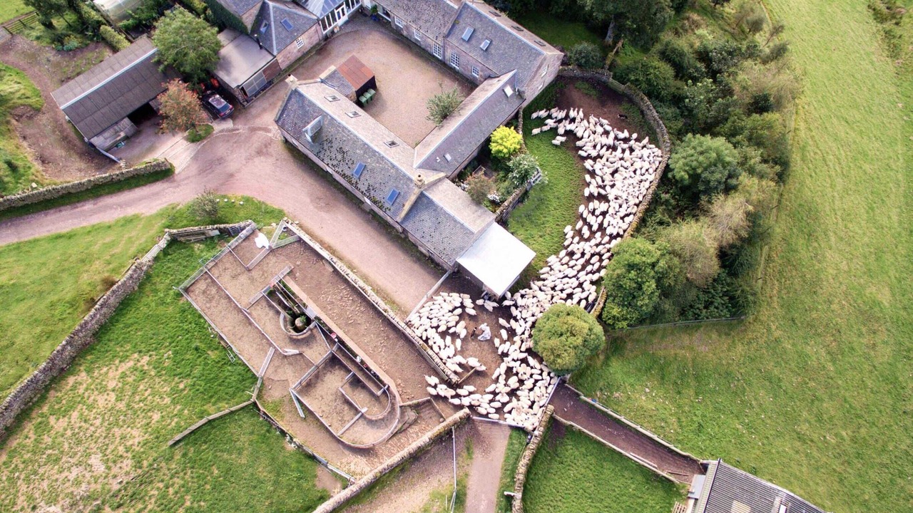 Photo of Outdoor in Penicuik
