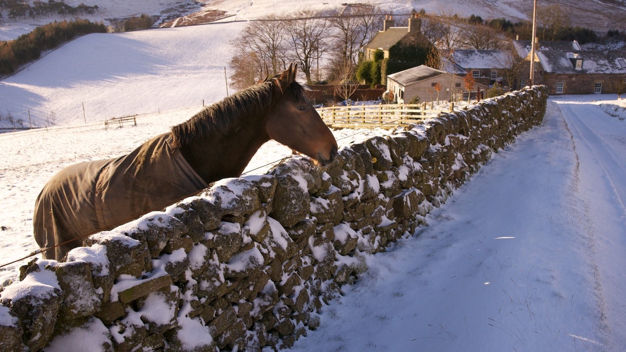 Photo of Outdoor in Penicuik