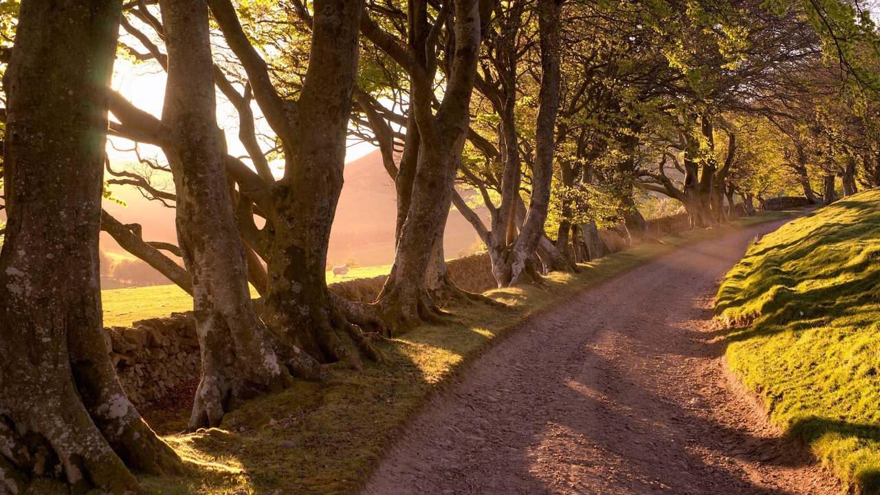 Photo of Outdoor in Penicuik