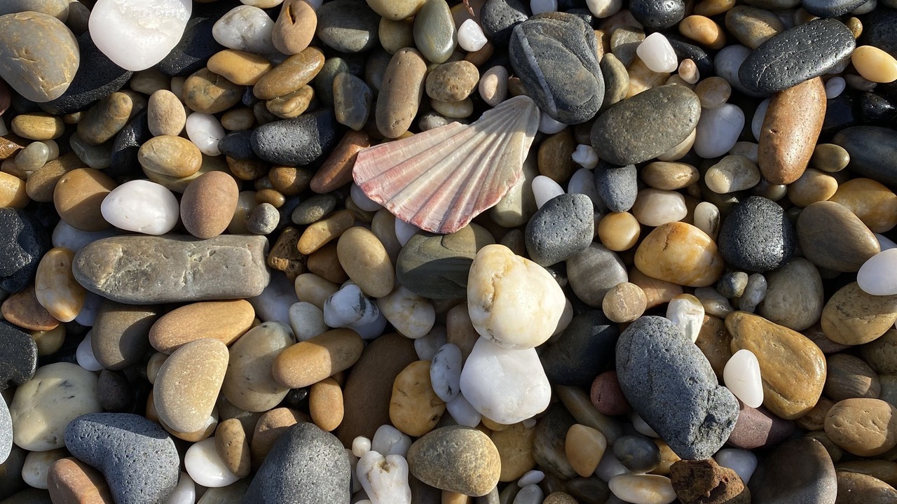 Photo of Others in Lulworth