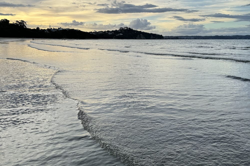 Photo of Others in Stanmore Bay