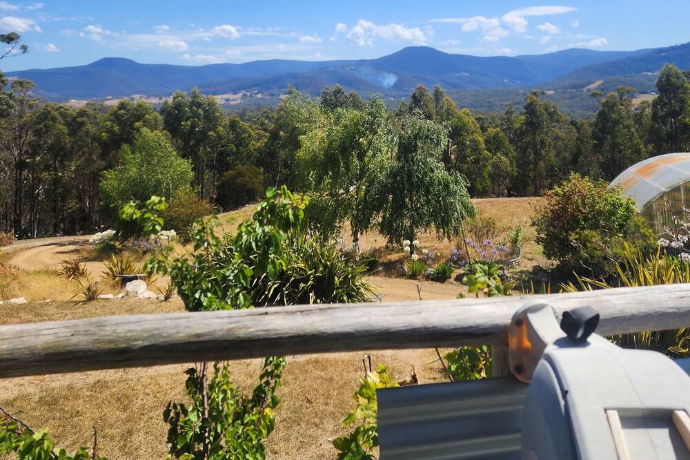 Photo of Outdoor in Southern