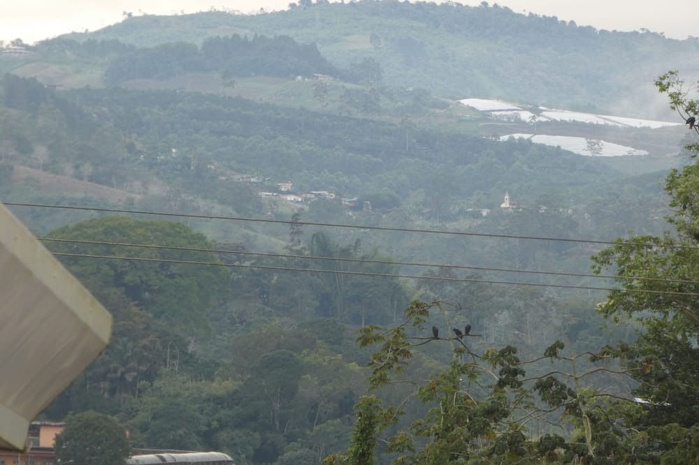 Photo of Others in Turrialba