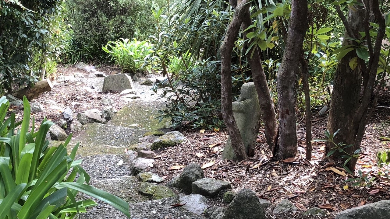 Photo of Outdoor in Kawaha Point