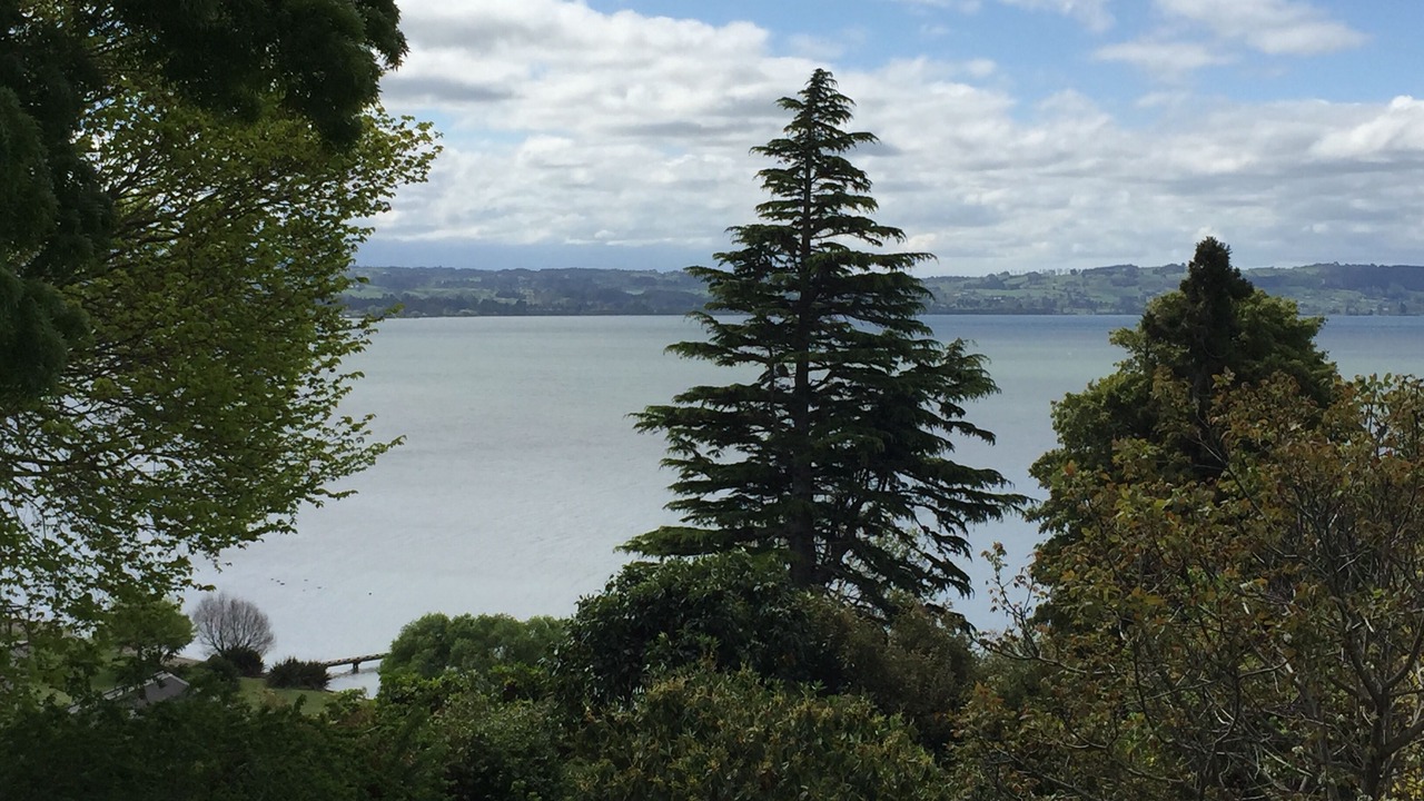 Photo of Outdoor in Kawaha Point