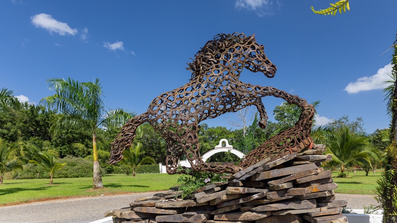 Photo of Outdoor in Tigre