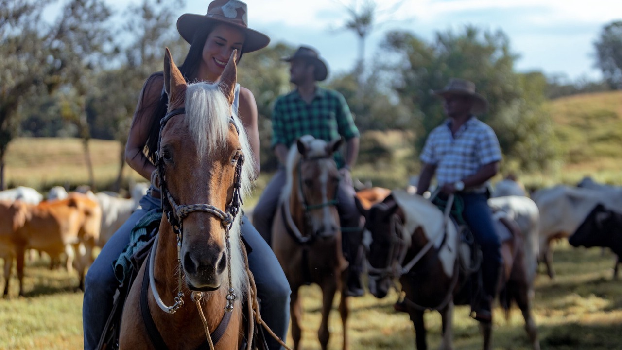Photo of Outdoor in Tigre