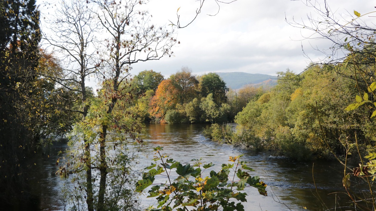 Photo of Others in Aberfeldy